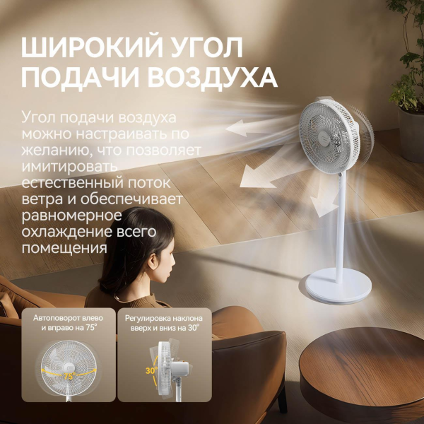 Купить Deerma DEM-FD11W-012.png
